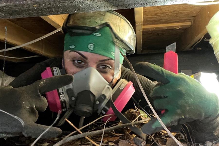 Jessica Azarelo in a crawlspace under a home. She is wearing protective gear