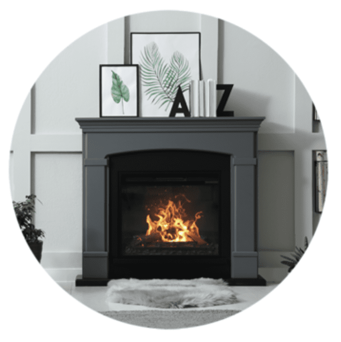 Biomass stove fireplace insert
