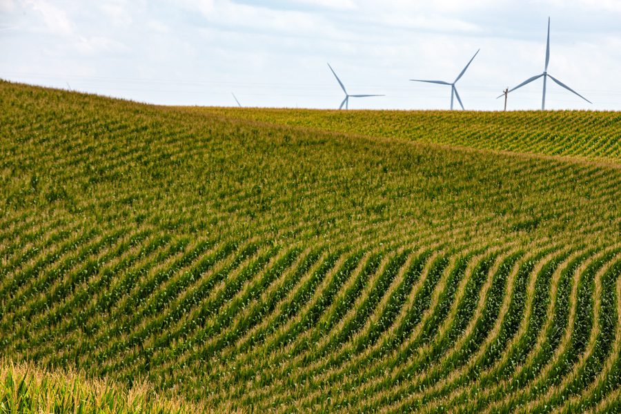 Landscape of Nebraska - a corn field and windmills