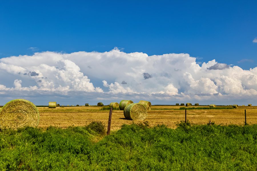 Landscape of Oklahoma