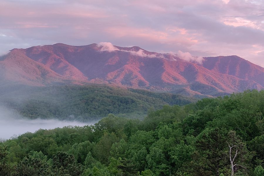 Landscape of Tennessee