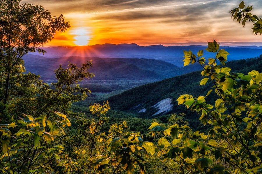 Landscape of Virginia