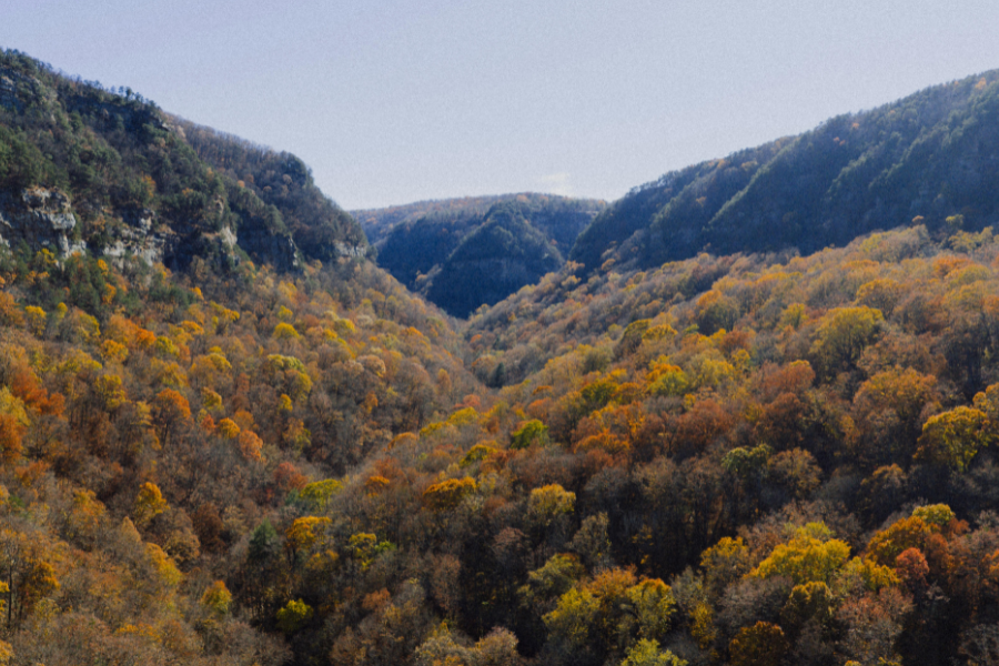 Georgia landscape
